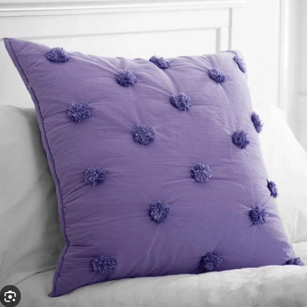 POTTERY BARN TEEN  QUILT  CRINKLE PUFF EURO SHAM
